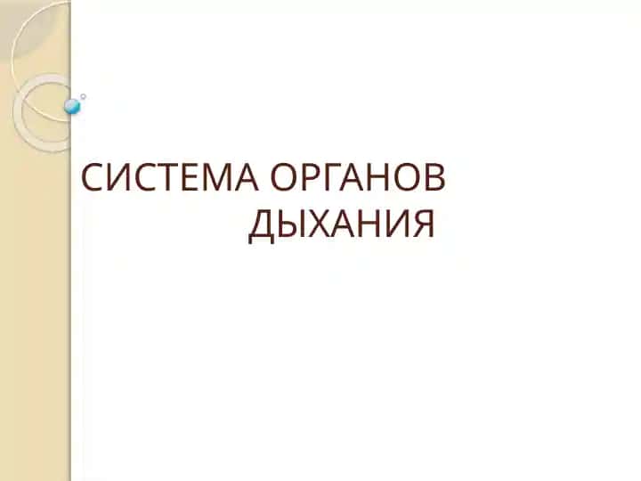 СИСТЕМА ОРГАНОВ ДЫХАНИЯ