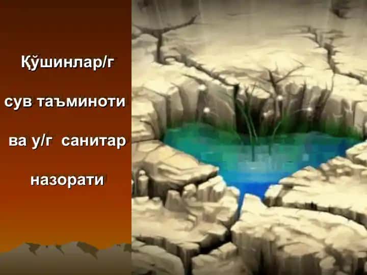 Қўшинлар/гсув таъминотива у/г санитарназорати