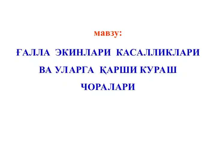 ҒАЛЛА ЭКИНЛАРИКАСАЛЛИКЛАРИ ВА УЛАРГА ҚАРШИ КУРАШ ЧОРАЛАРИ