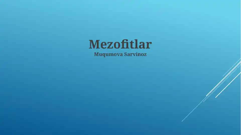 Mezofitlar