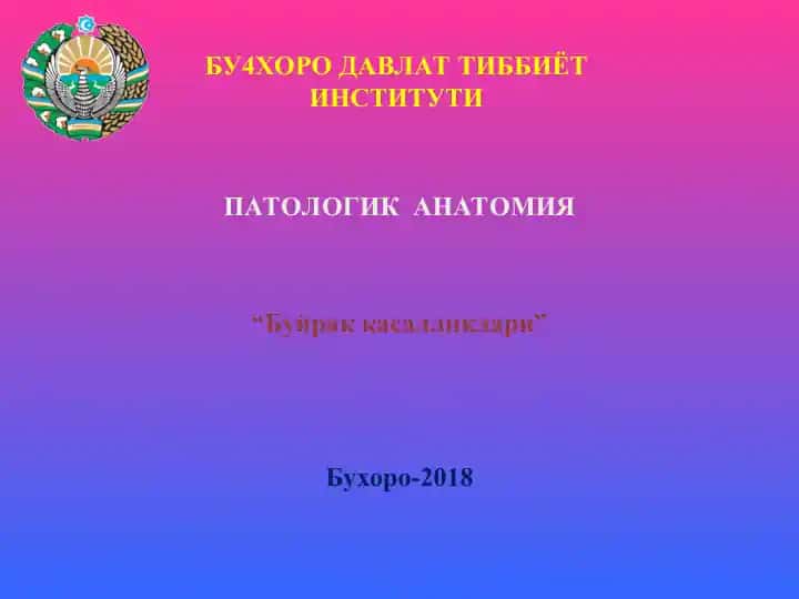 "Буйрaк касалликлари"