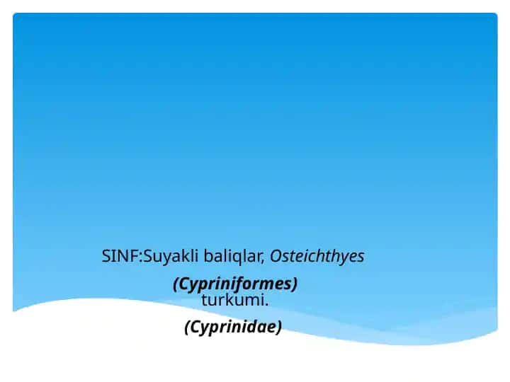 Suyaklibaliqlar (Osteichthyes)