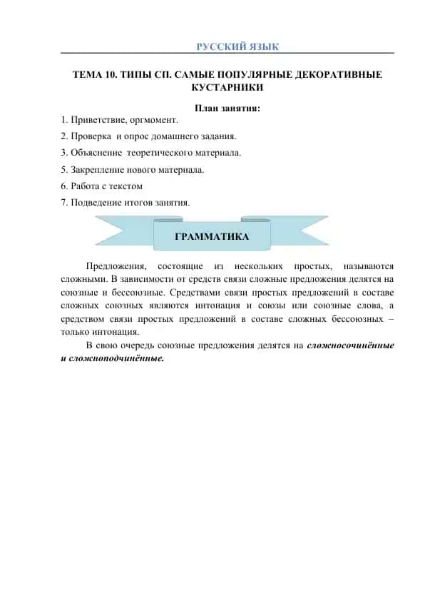 ТИПЫ СП. САМЫЕ ПОПУЛЯРНЫЕ ДЕКОРАТИВНЫЕ КУСТАРНИКИ