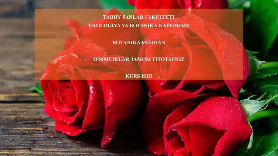 O'simliklar jamosifi fitotsinoz kurs ishi