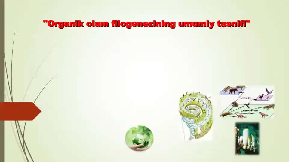 Organik olam filogenezining umumiy tasnifi