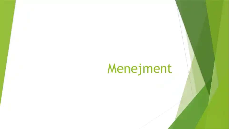 Menejment