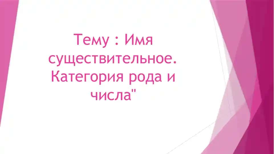 Имя существительное. Категория рода и числa