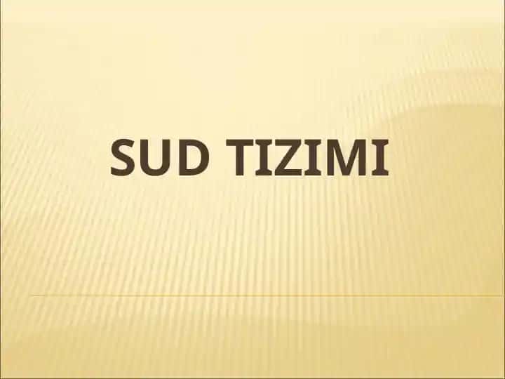 Sud tizimi