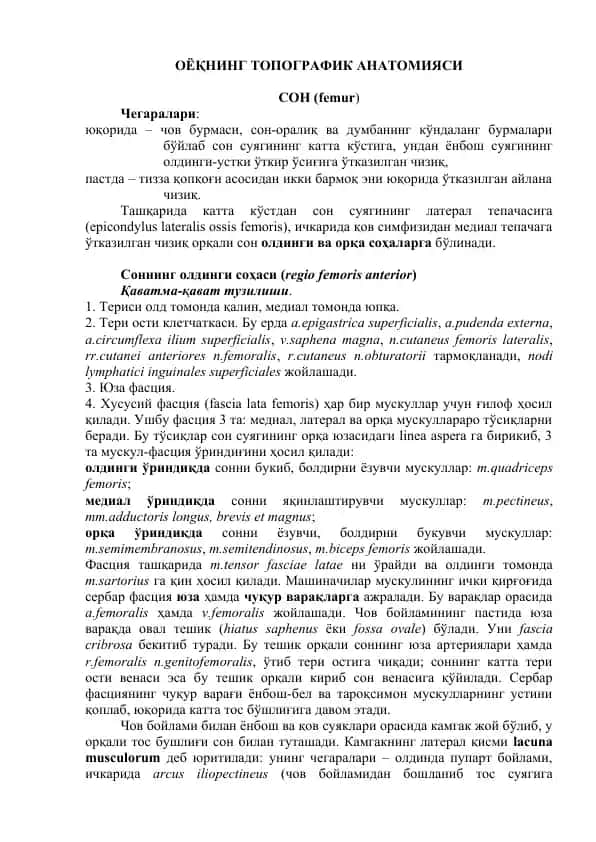 ОЁҚНИНГ ТОПОГРАФИК АНАТОМИЯСИ