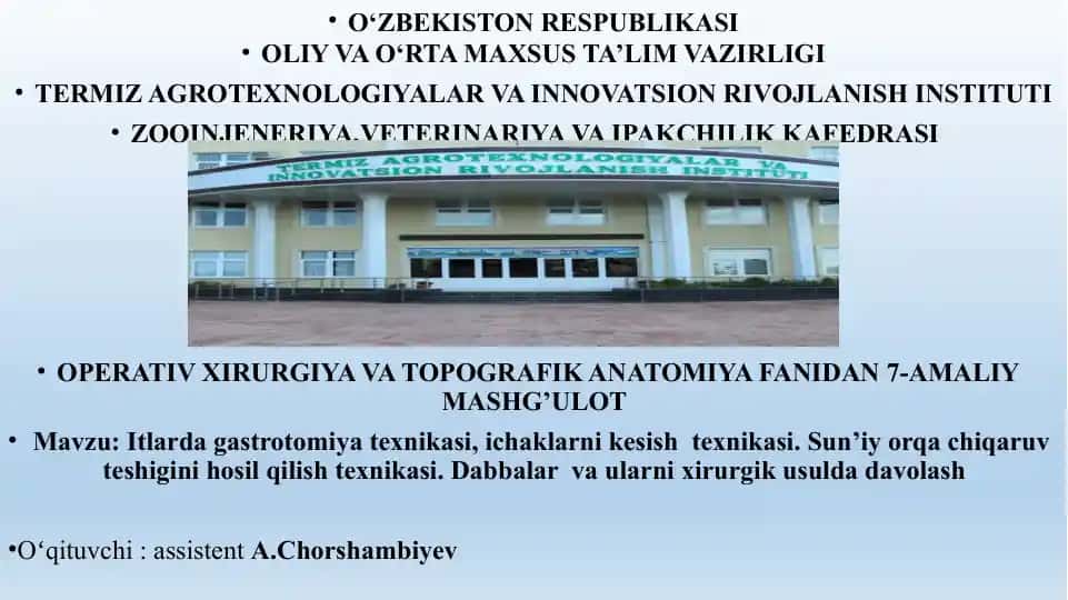 Gastrotomiya texnikasi