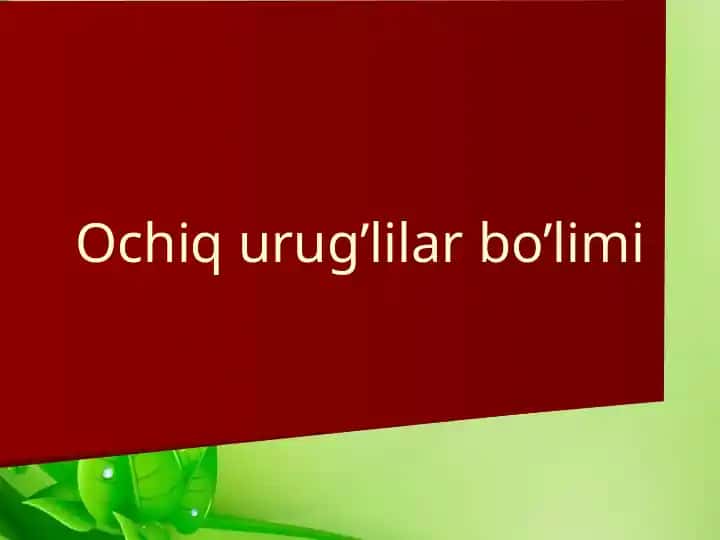 Ochiq urug‘lilar bo‘limi