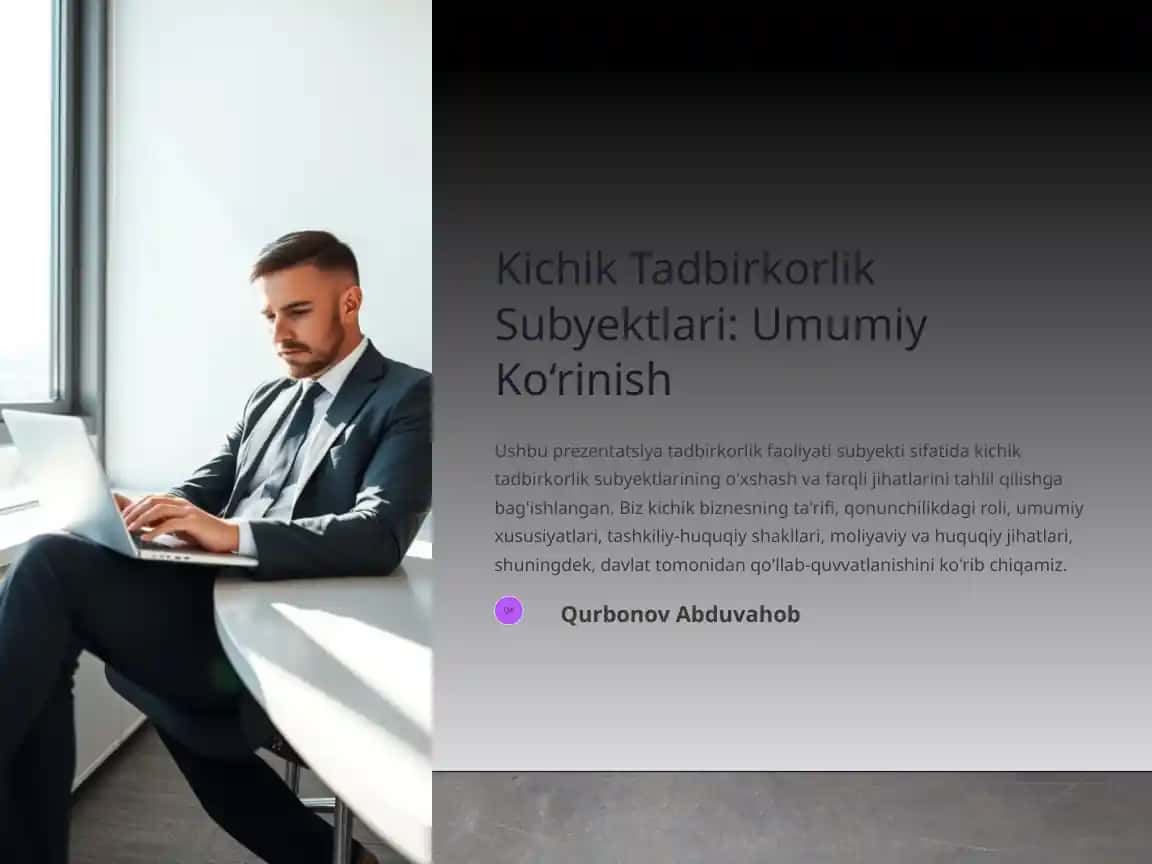 Kichik Tadbirkorlik Subyektlari: Umumiy Ko‘rinish