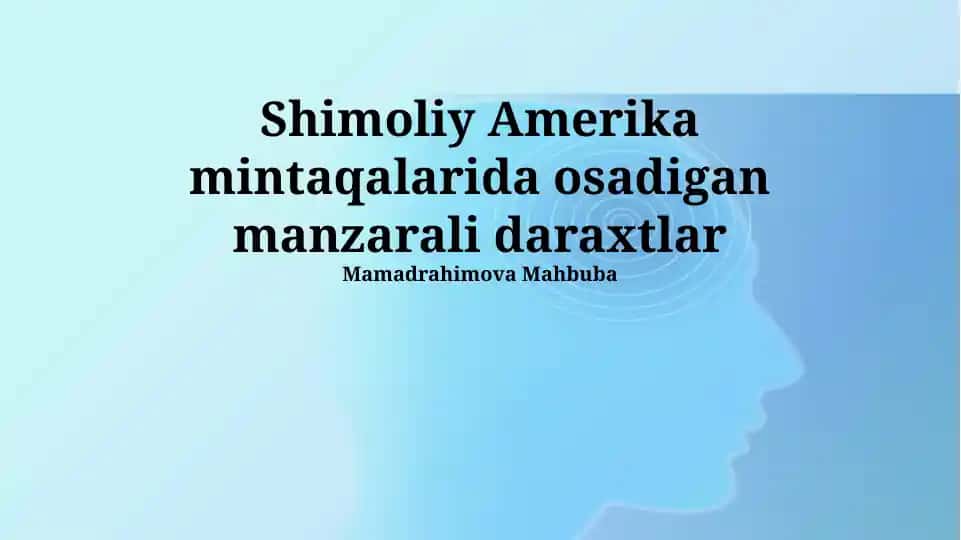 Shimoliy Amerika mintaqalarida osadigan manzarali daraxtlar