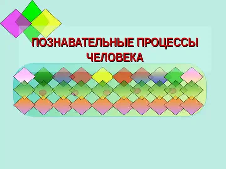 ПОЗНАВАТЕЛЬНЫЕ ПРОЦЕССЫ ЧЕЛОВЕКА
