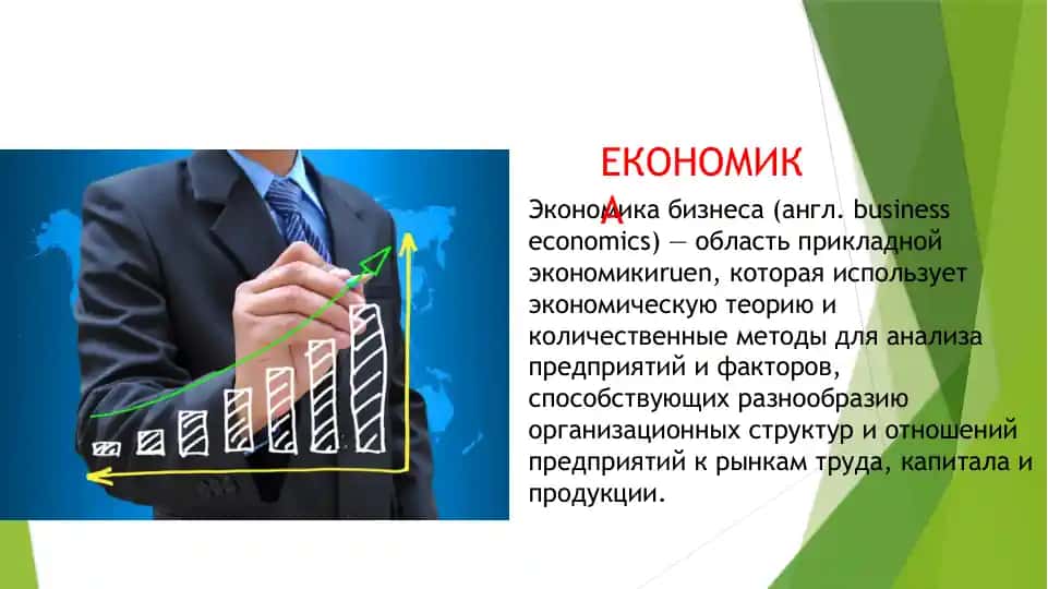 Экономика бизнеса