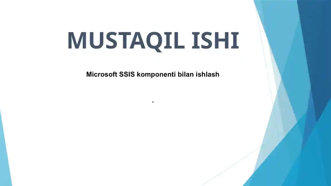 SQL Server Integration Services (SSIS)