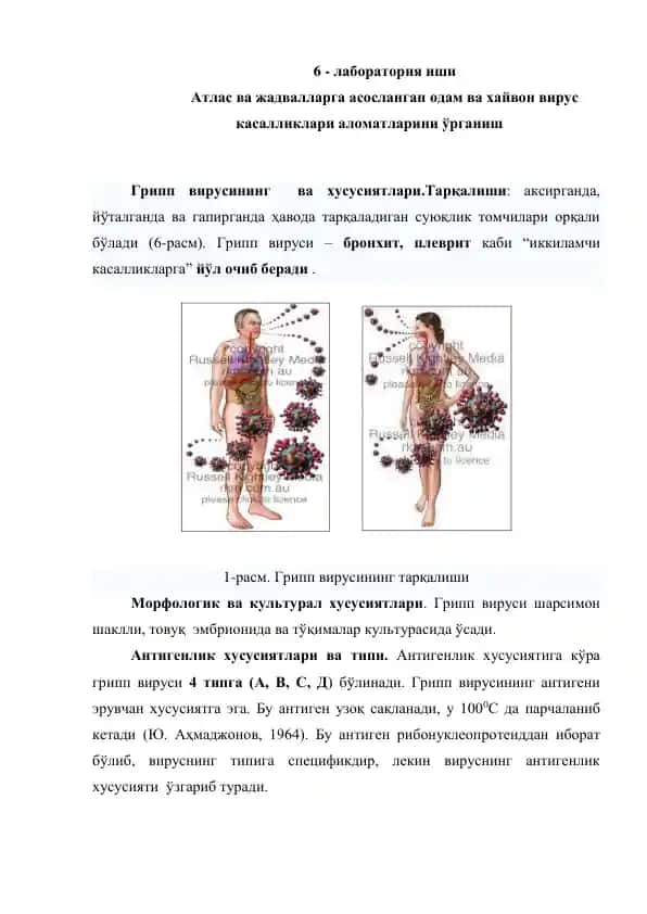 Атлас ва жадвалларга асосланган одам ва хайвон вирус касалликлари аломатларини ўрганиш
