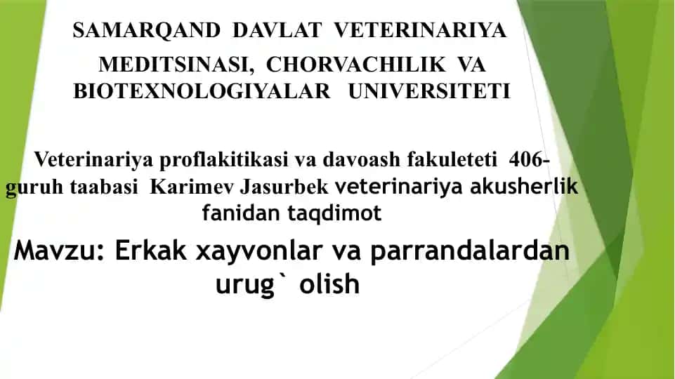 Urug‘ olish jarayoni