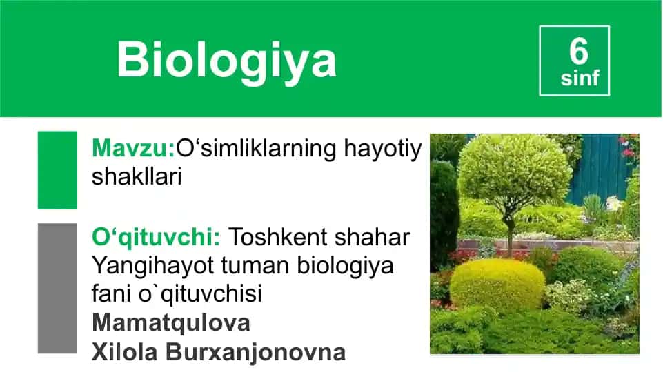 O‘simliklarning hayotiy shakllari