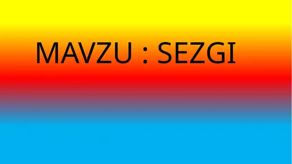 Sezgilar