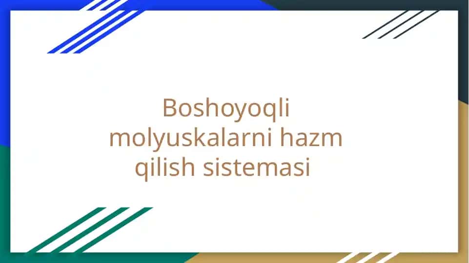 Boshoyoqli molyuskalarni hazm qilish sistemasi