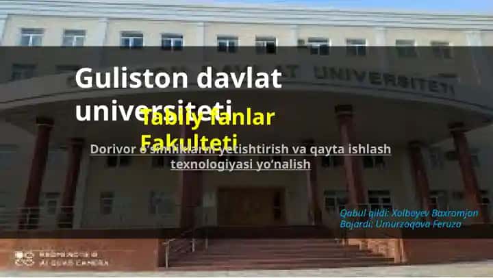Nam subtropik o‘rmon tuproqlari
