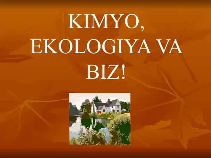 Ekologiya va Biz