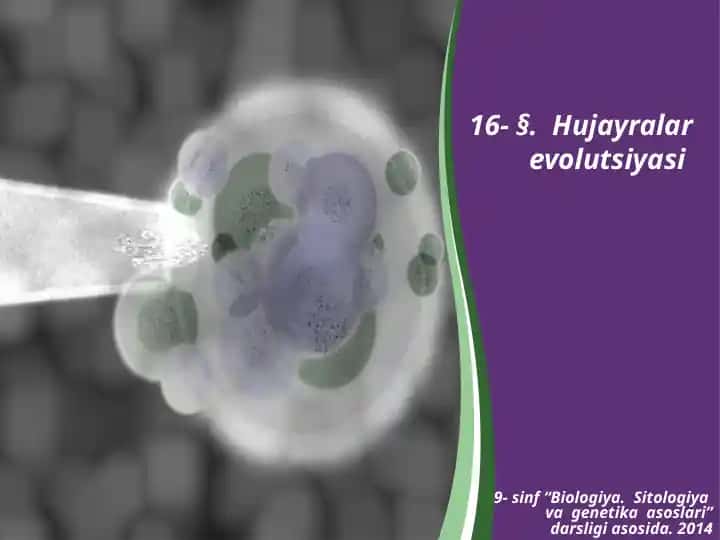 Hujayralar Evolutsiyasi