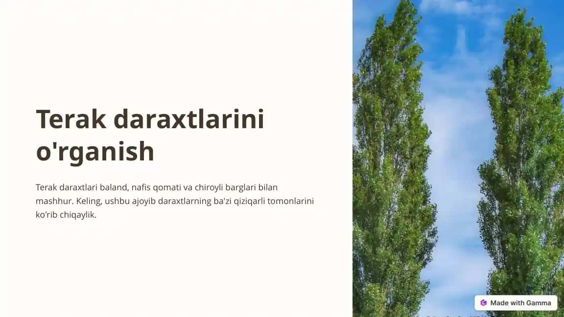Terak daraxtlari