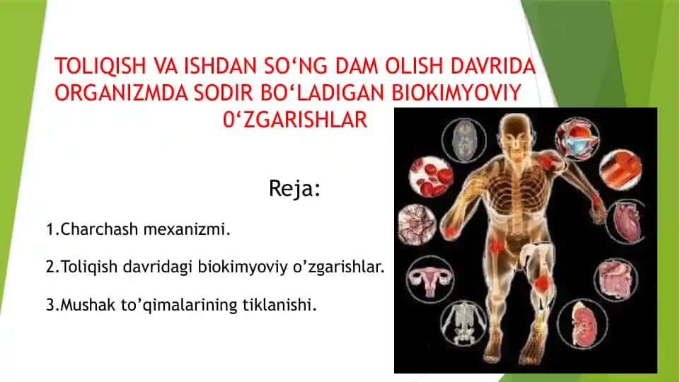 TOLIQISH VA ISHDAN SO‘NG DAM OLISH DAVRIDA ORGANIZMDA SODIR BO‘LADIGAN BIOKIMYOVIY O‘ZGARISHLAR