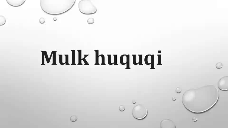 Mulk huquqi