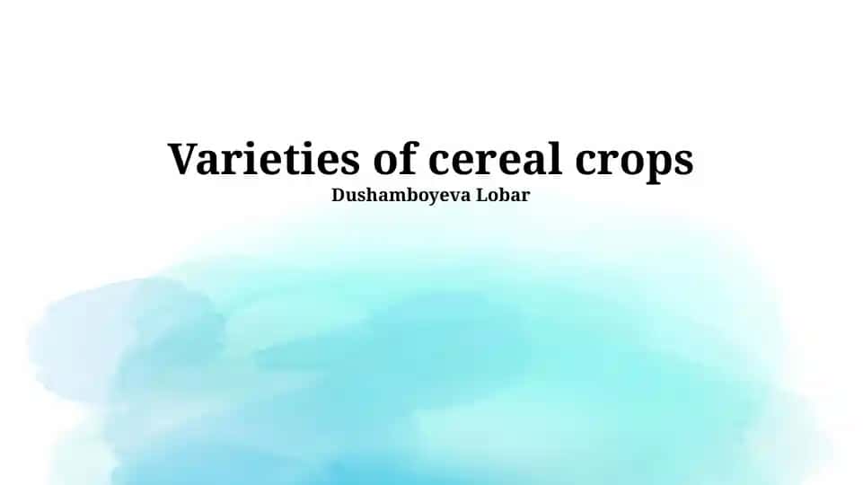Varieties of cereal crops