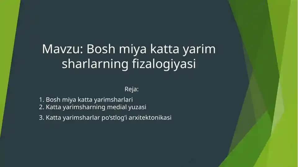 Bosh miya katta yarim sharlarning fizalogiyasi