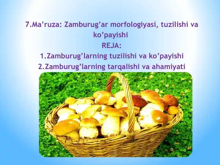 Zamburug’lar morfologiyasi, tuzilishi va ko’payishi