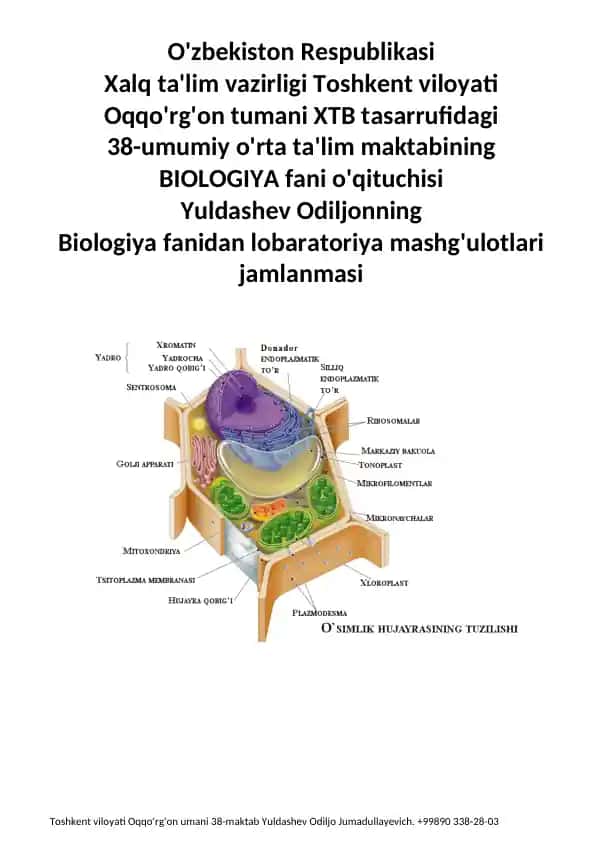 Gulli o'simliklar organlari bilan tanishish mashg'ulotlari