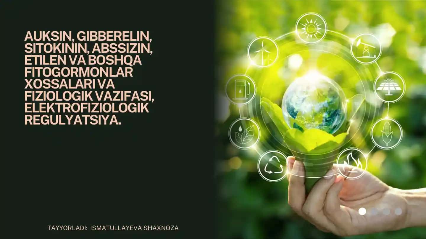 Fitogormonlar: Xossalari va Fiziologik Vazifalari