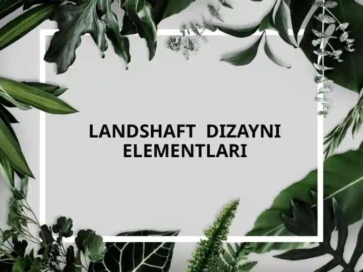 LANDSHAFT DIZAYNI ELEMENTLARI