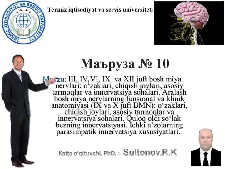 Mavzu: III, IV, VI, IX va XII juft bosh miya nervlari: o‘zaklari, chiqish joylari, asosiy tarmoqlar va innervatsiya sohalari. Aralash bosh miya nervlarning funsional va klinik anatomiyasi (IX va X juft BMN): o‘zaklari, chiqish joylari, asosiy tarmoqlar va innervatsiya sohalari. Quloq oldi so‘lak bezning innervatsiyasi. Ichki a’zolarning parasimpatik innervatsiya xususiyatlari.