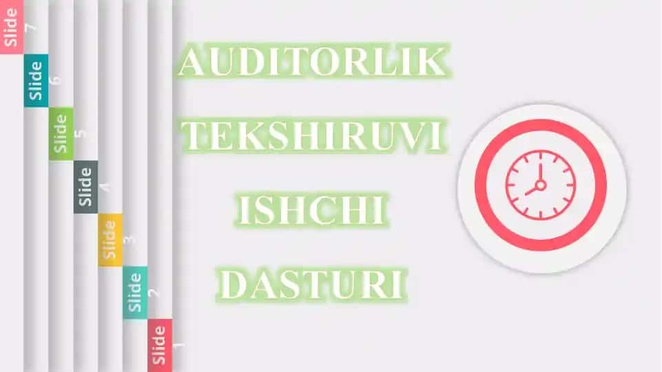 AUDITORLIK TEKSHIRUVI ISHCHI DASTURI