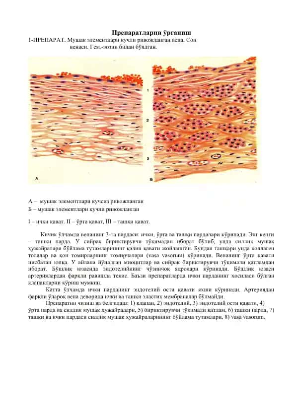 Препаратларни ўрганиш