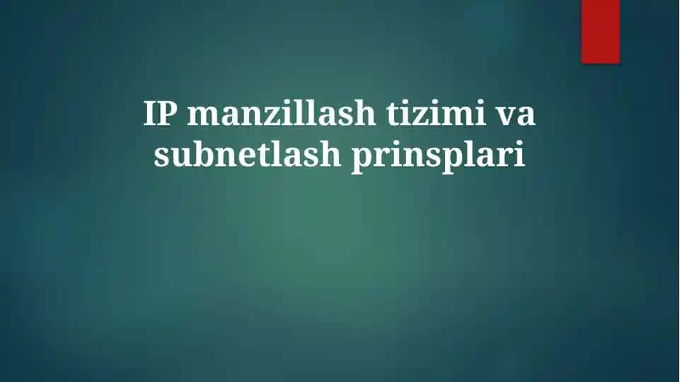 IP manzillashtizimivasubnetlashprinsplari