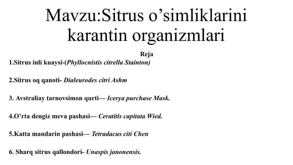 Sitrus o’simliklarini karantin organizmlari