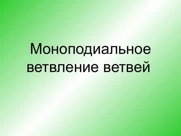 Vetvleniye poboegov