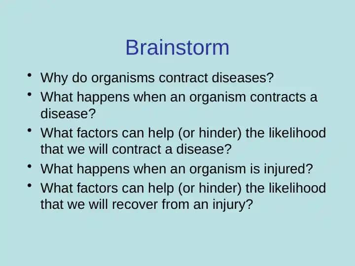 Immune System Functions