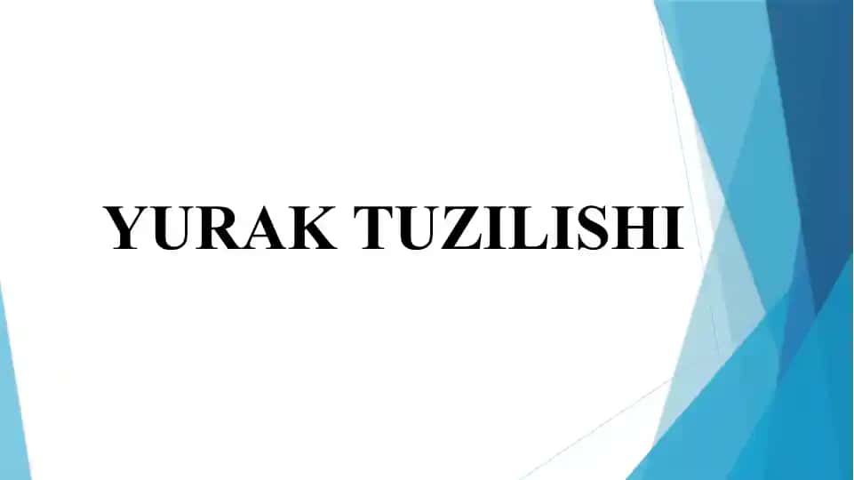 Yurak tuzilishi