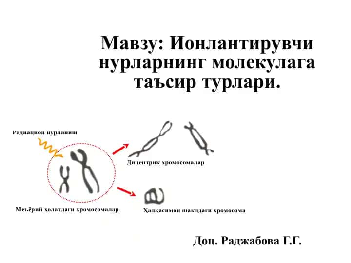 Ионлаштирувчи нурларнинг молекулага таъсир турлари