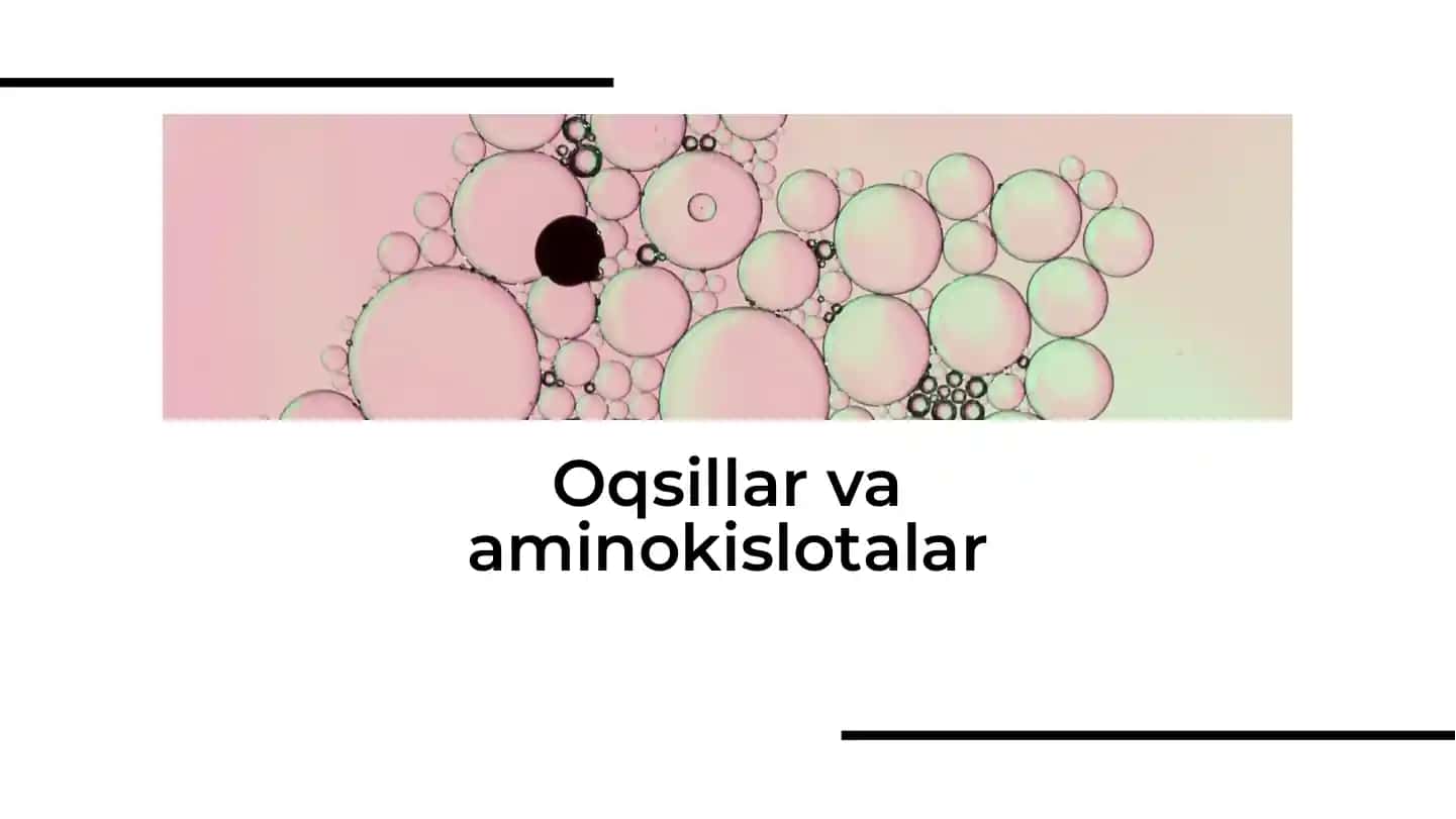 Oqsillar va aminokislotalar