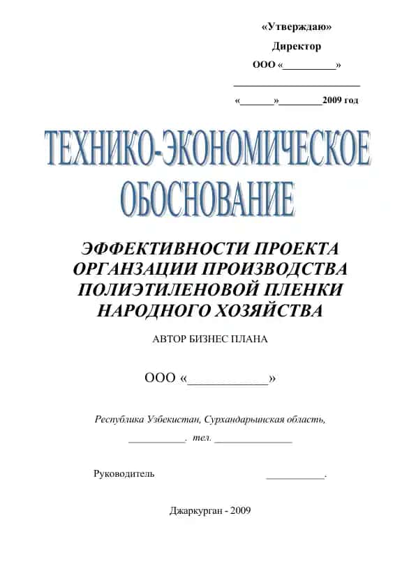Бизнес план "Эффективность проекта организации производства полиэтиленовой пленки народного хозяйства"
