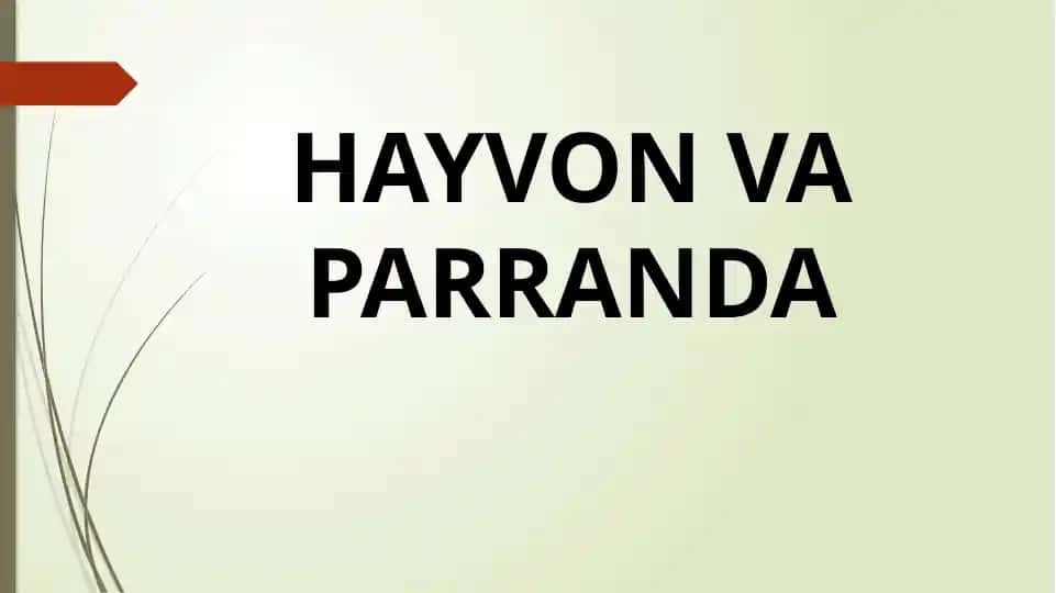 Parranda Grippi