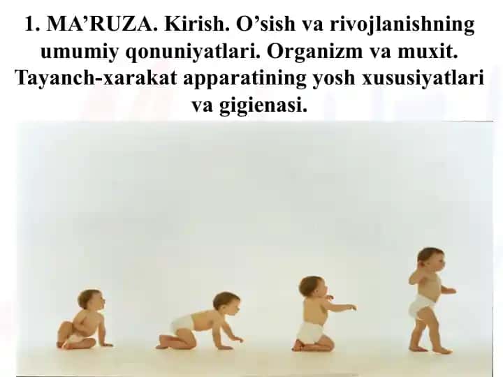 MA’RUZA: O’sish va rivojlanishning umumiy qonuniyatlari hamda tayanch-xarakat apparatining yosh xususiyatlari va gigienasi
